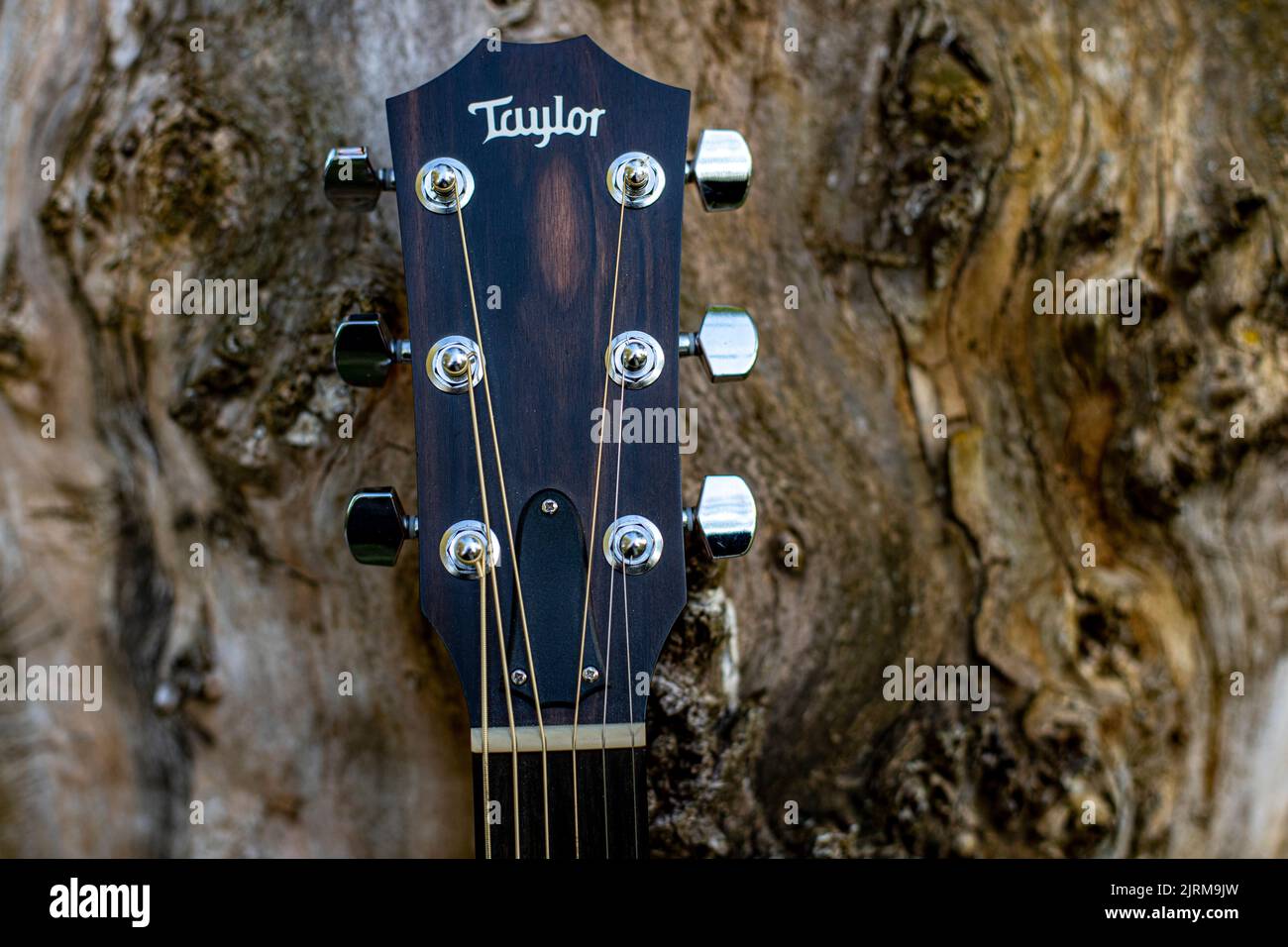Taylor guitar neck Stock Photo Alamy