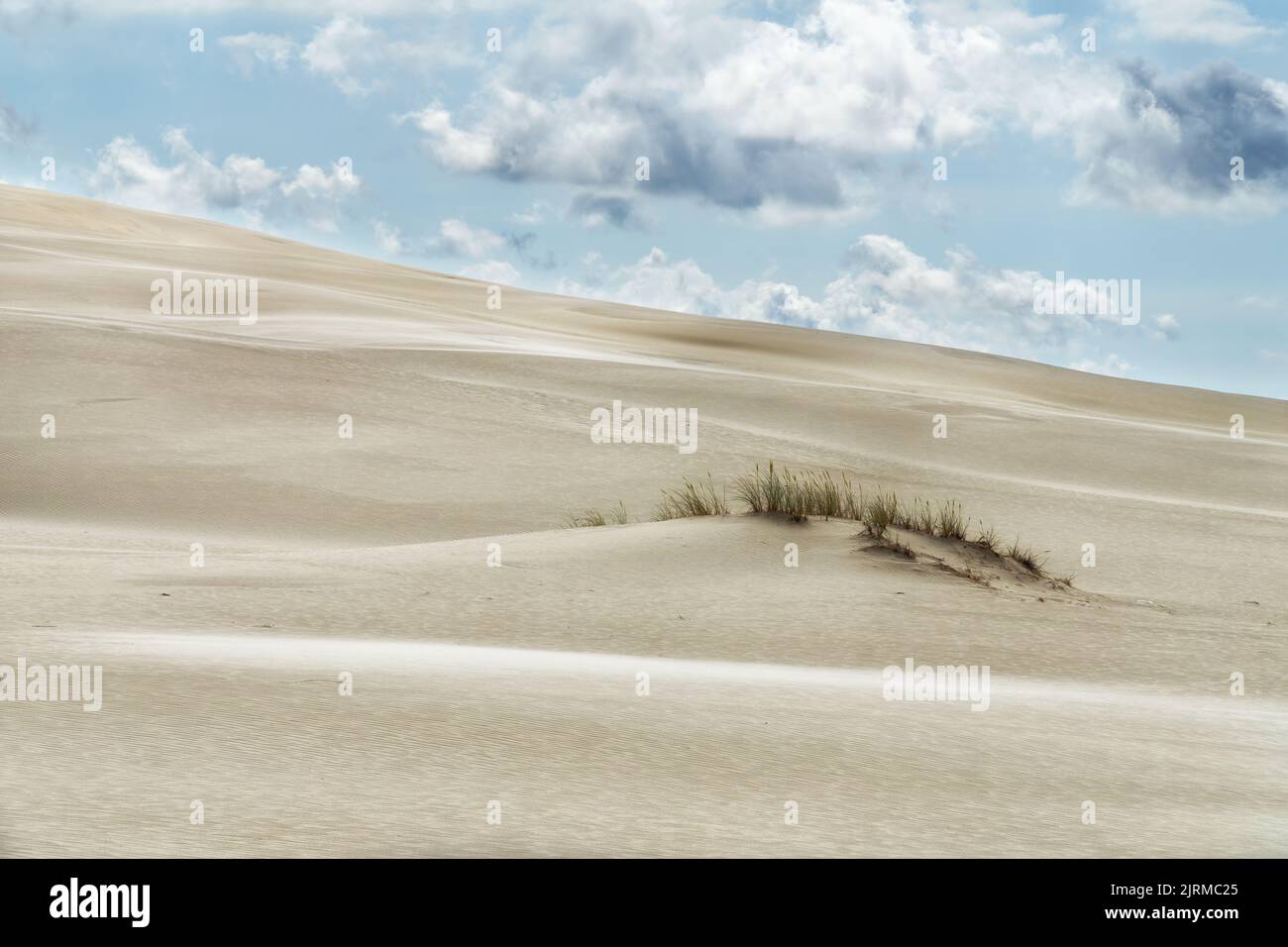 Sandy dune with a clump of grass and blue sky with white clouds. Lacka dune in Slowinski National Park in Poland, a miracle of nature. Traveling dune Stock Photo