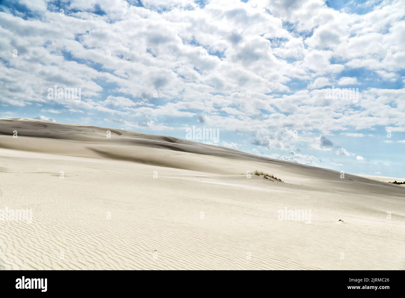 Sandy dune with a clump of grass and blue sky with white clouds. Lacka dune in Slowinski National Park in Poland, a miracle of nature. Traveling dune Stock Photo