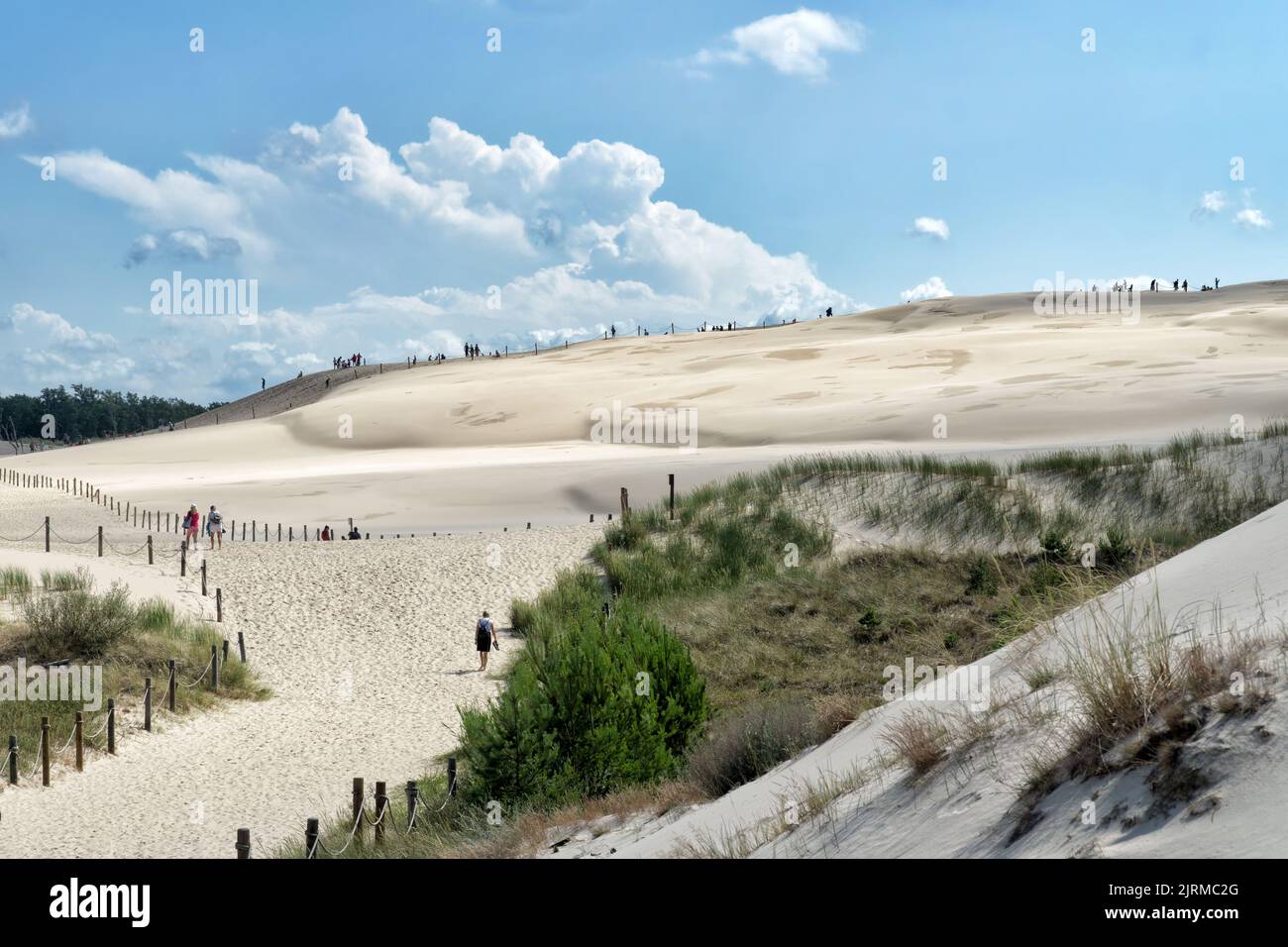 People explore in Lacka dune in Slowinski National Park in Poland. Traveling dune in sunny summer day. Sandy beach and blue sky with white clouds. Stock Photo