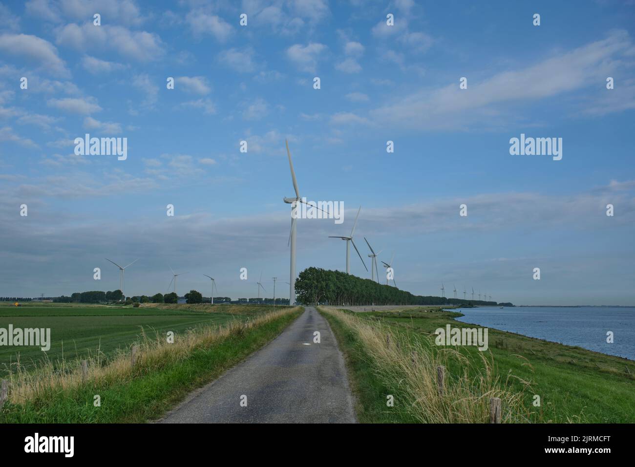 Windmill park in the Netherlands. The wind farm produce electricity to