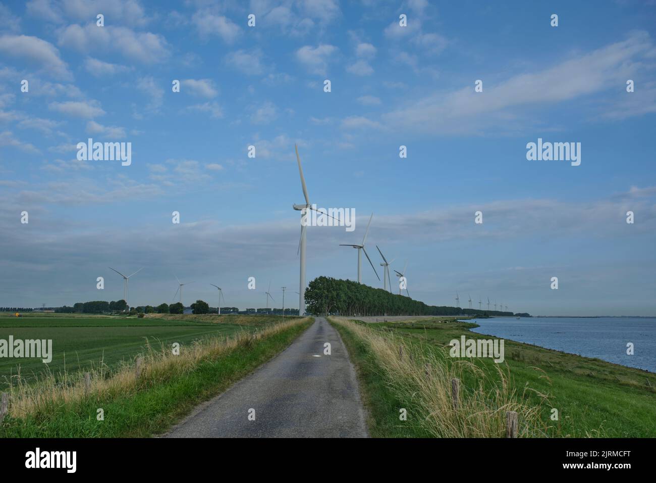 Windmill park in the Netherlands. The wind farm produce electricity to provide electricity for households in the Netherlands Stock Photo
