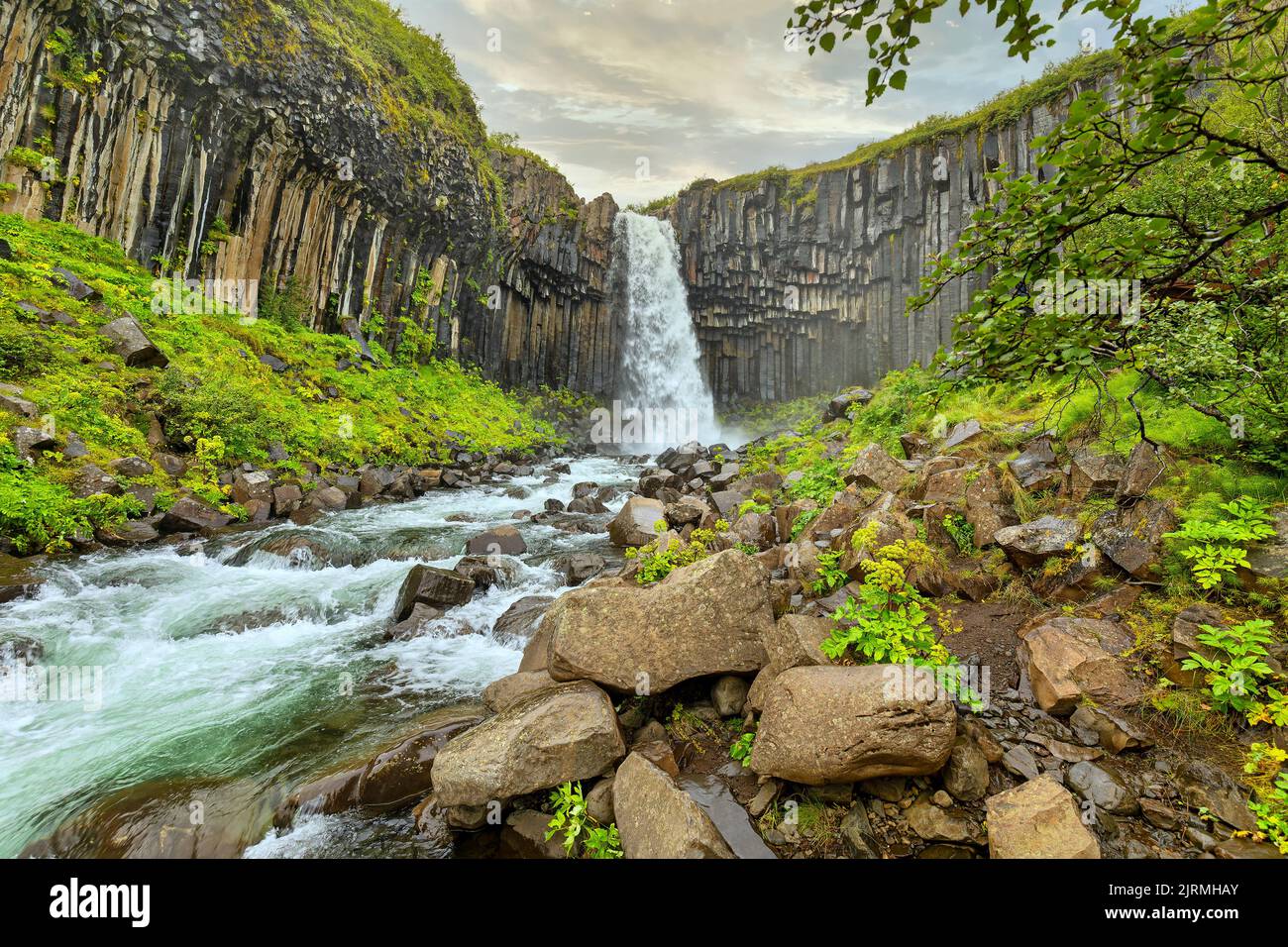 Waterfall Svartifoss at Vatnajökull National Park in Iceland Stock Photo