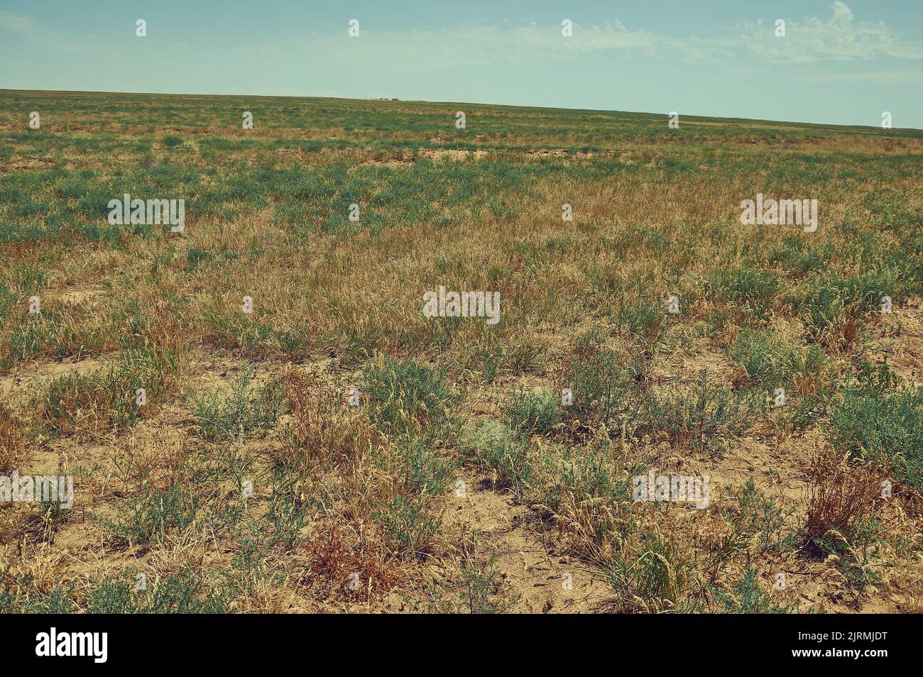 Deserted area of the steppe. Republic of Kalmykia, Russia Stock Photo
