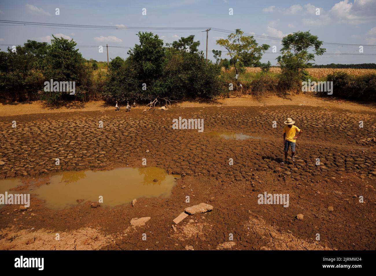 Farmer Hu, 70, stands in the village pond that dried up about 10 days ago as the region experiences a drought in Xinyao village, Nanchang city, Jiangxi province, China, August 25, 2022.  REUTERS/Thomas Peter Stock Photo