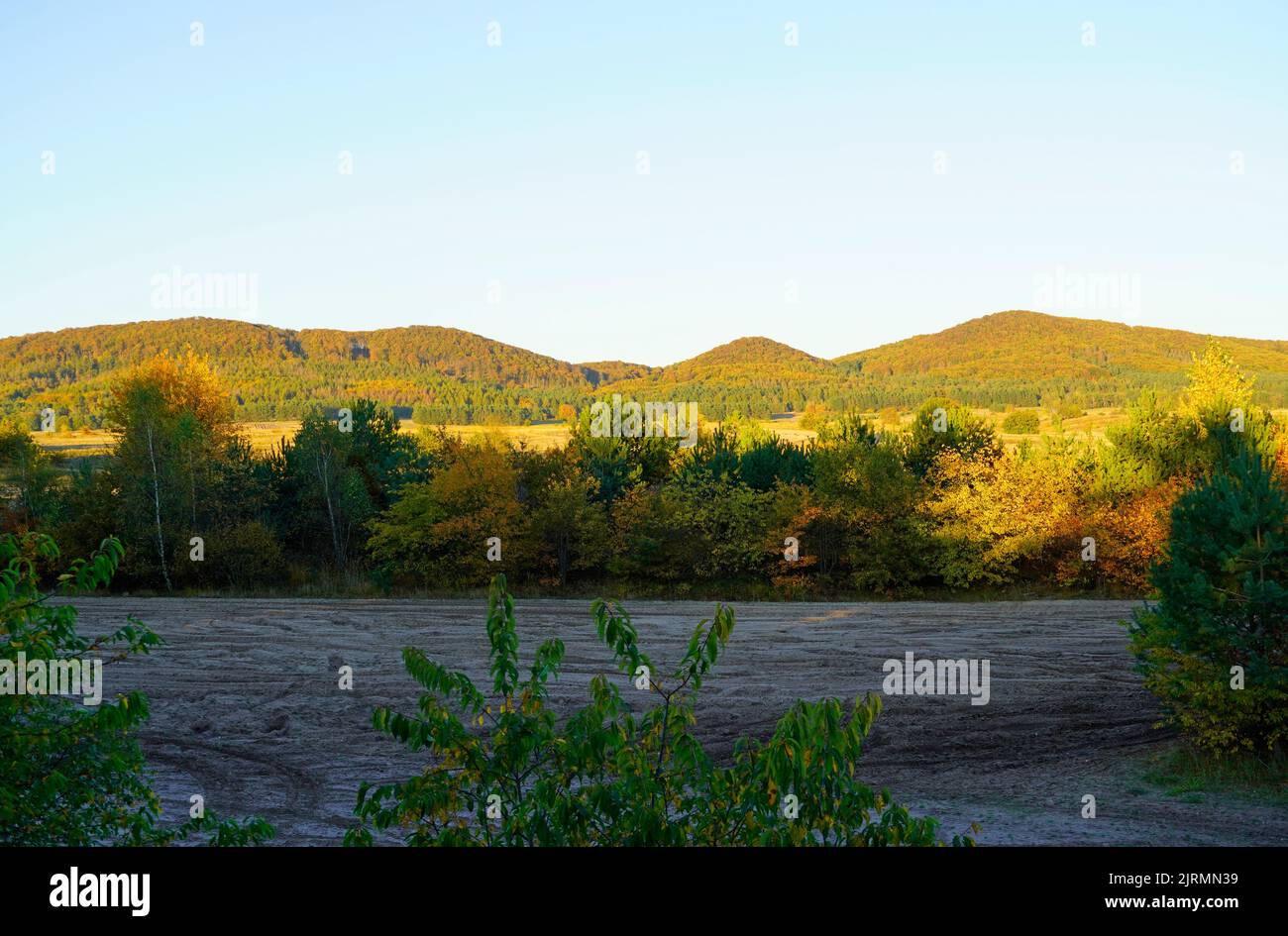 Hiking trail through nature in autumn Stock Photo - Alamy