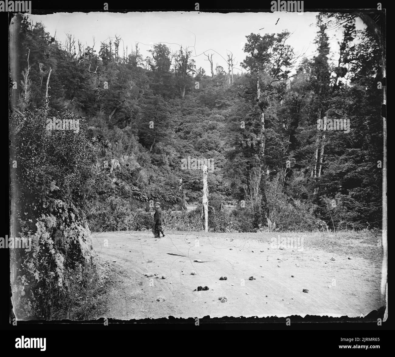 Middle of Bushy Bend, Remutaka [Rimutaka] Hill, looking down towards