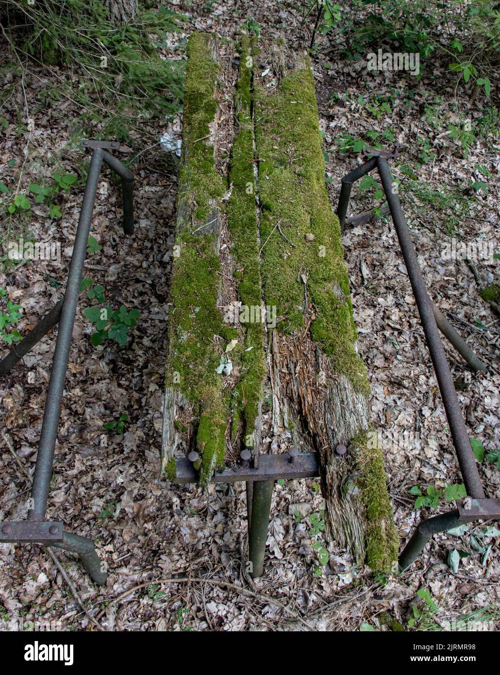 Forest Mess Table Old wooden table top covered hi-res stock photography and images - Alamy