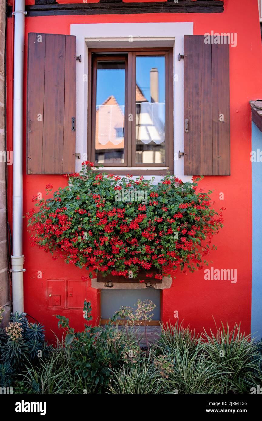 Red house with flowers in Bergheim, Alsace Stock Photo Alamy