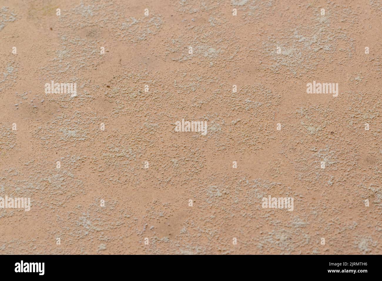 Mold. Wood mold stains in closeup forming texture Stock Photo Alamy
