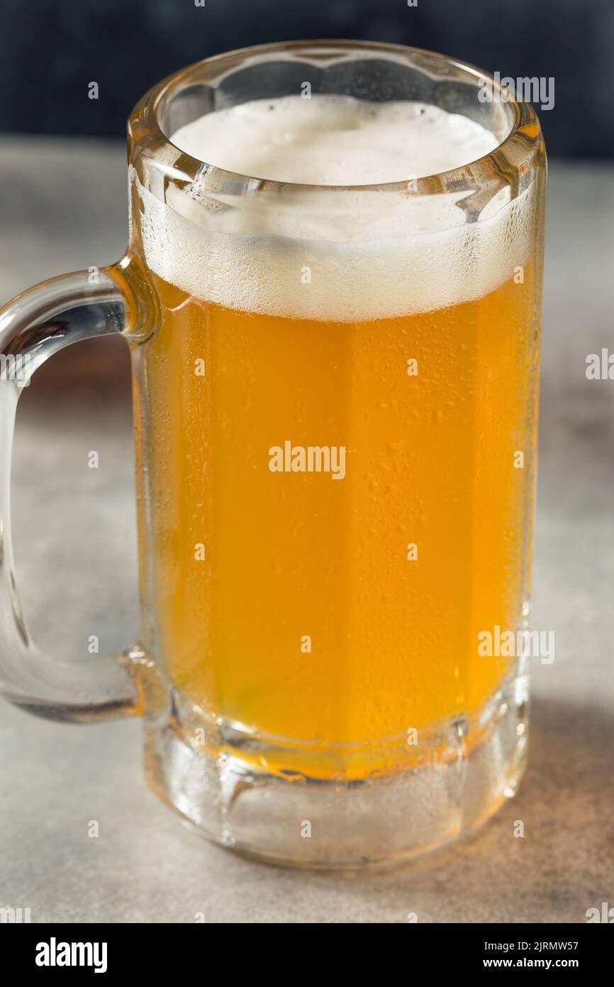 Boozy Refreshing Cold Craft Beer in a Mug with Nuts Stock Photo