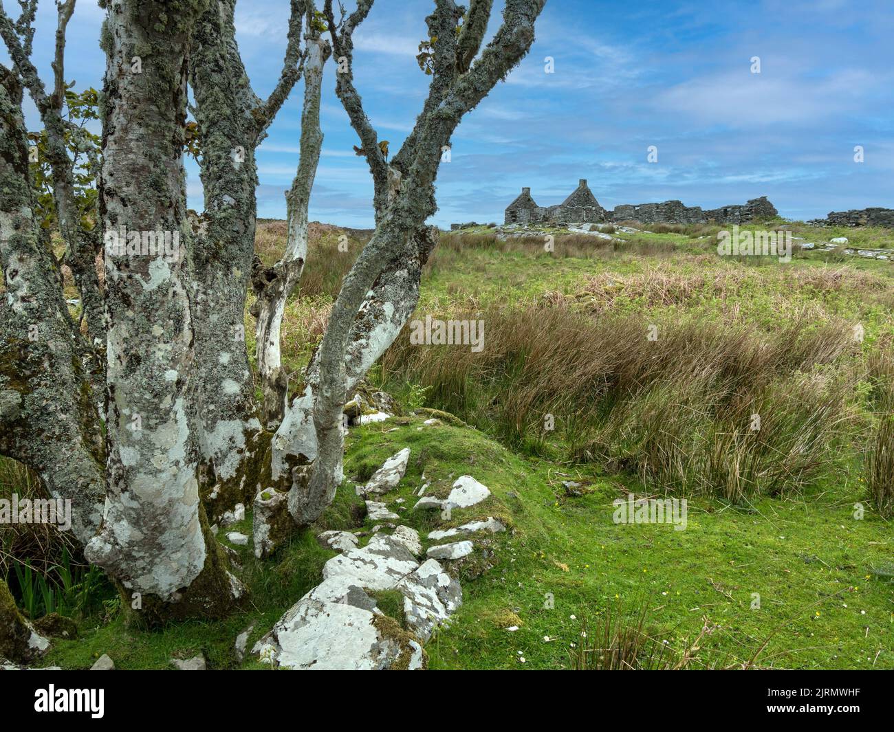 Row of ruined houses in abandoned settlement of Riasg Buidhe, Isle of Colonsay, Scotland, UK. Stock Photo