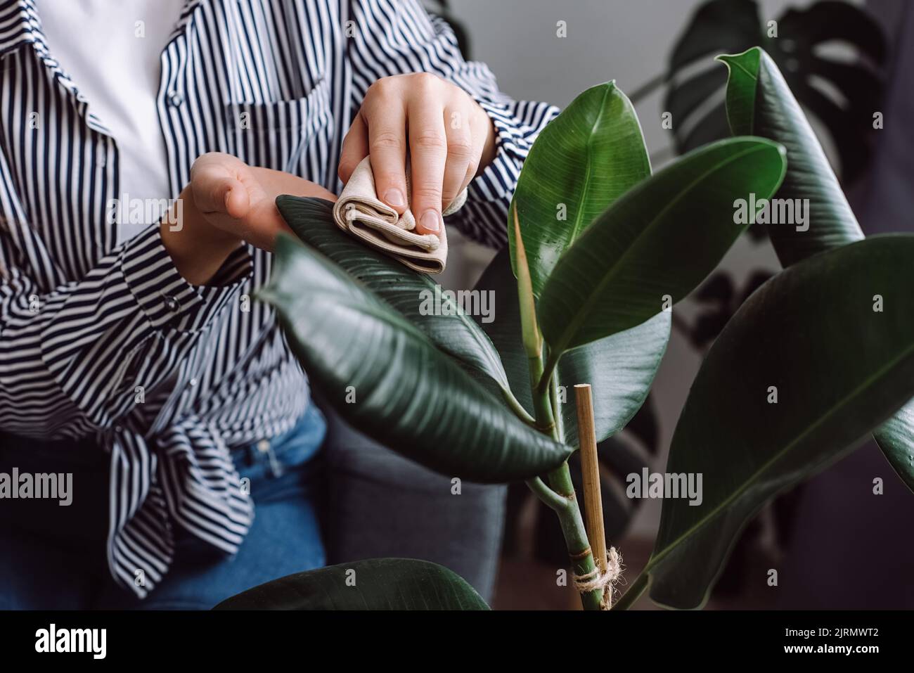 Close up of beautiful female hands carefully wiping dust from house
