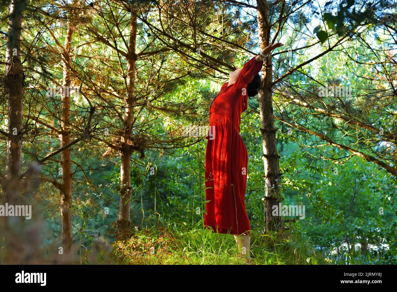 Senior asian woman - shamaness (witch doctor) in a bright red ethnic dress in a pine forest enjoys the sunrise. Shaman (sorceress) stands between a tr Stock Photo