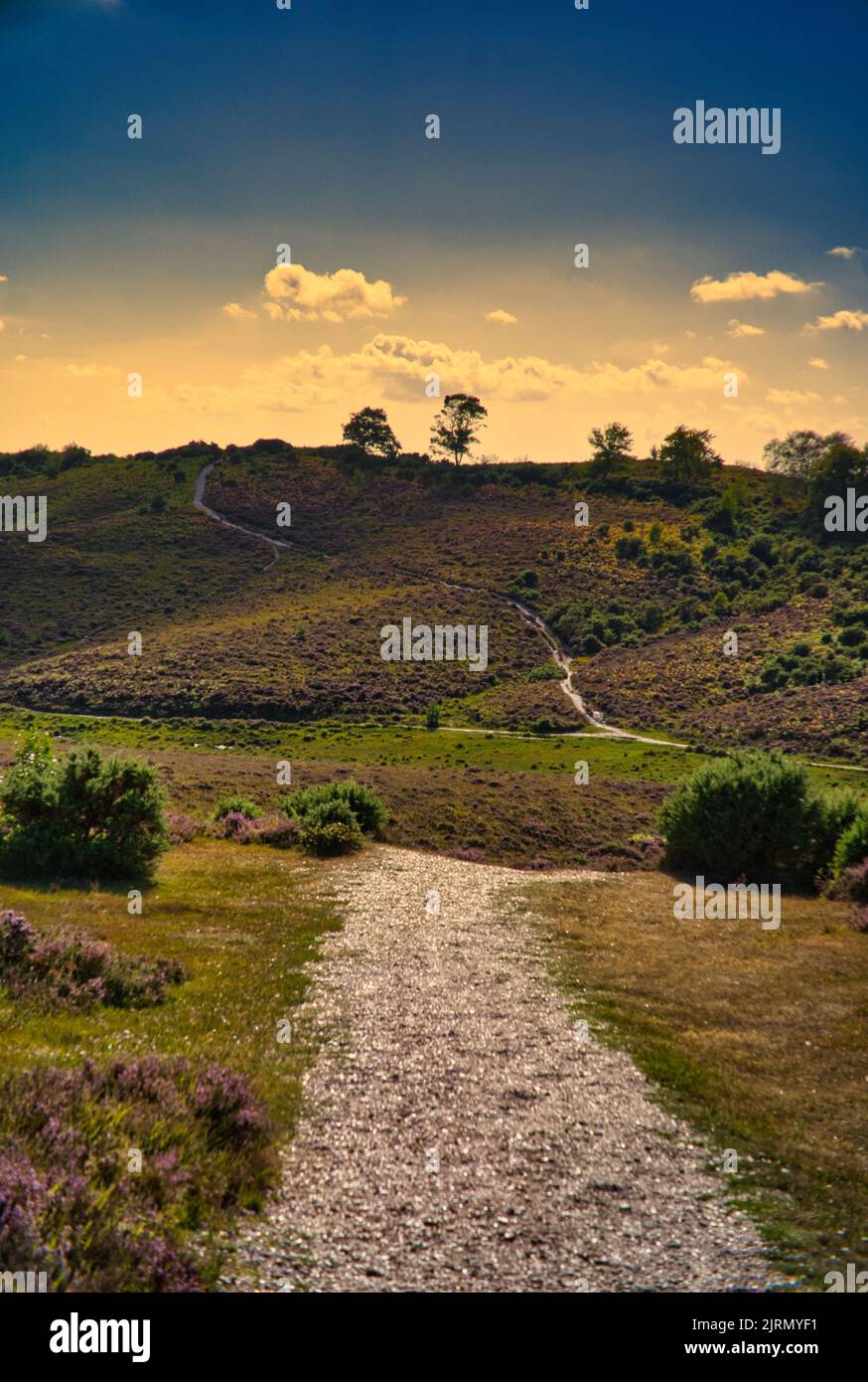 Vertical shot beautiful pathway hi-res stock photography and images - Alamy