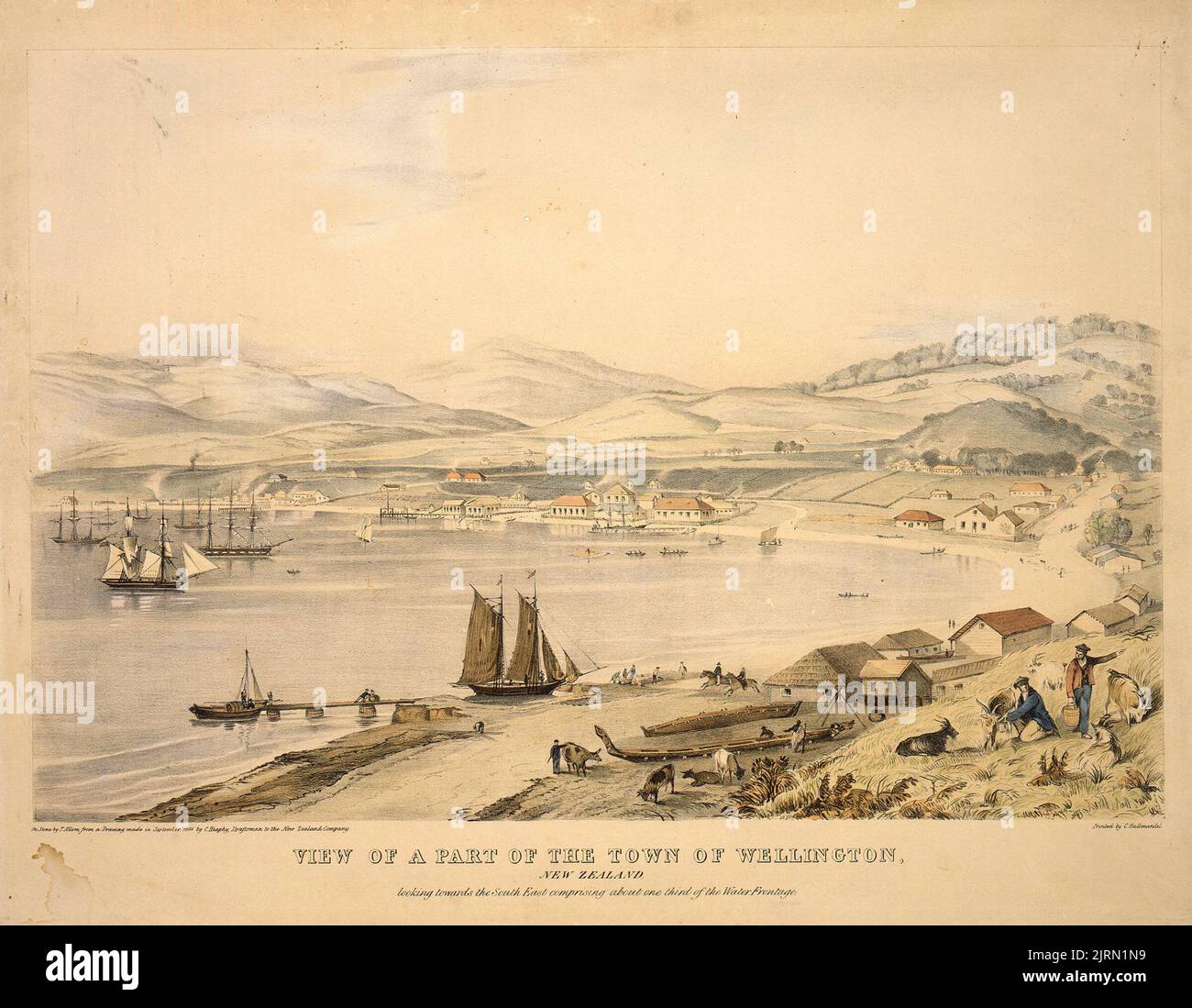 View of a part of the town of Wellington, New Zealand, 1841, by Major Charles Heaphy VC, Thomas Allom. Stock Photo