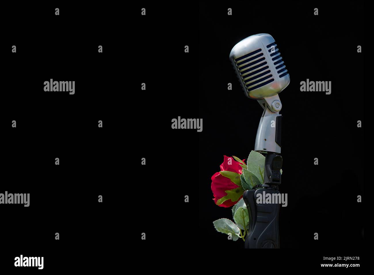 Modern Vintage Looking Microphone With Rose Attached Isolated Against A Black Background, UK Stock Photo