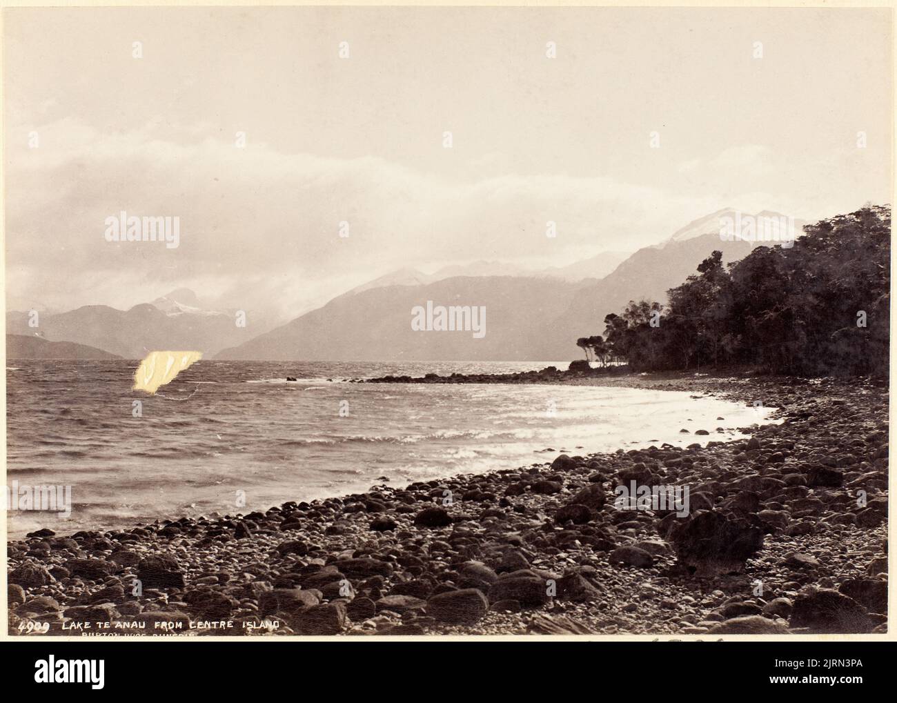 Lake Te Anau from Centre Island, 1889, Dunedin, by Burton Brothers, Alfred Burton Stock Photo