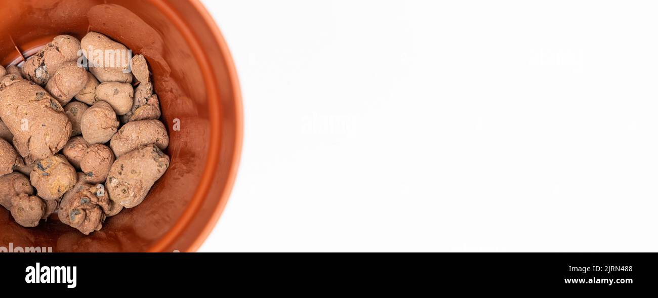 Claydite drainage stones in a pot for houseplants on a white background Stock Photo Alamy