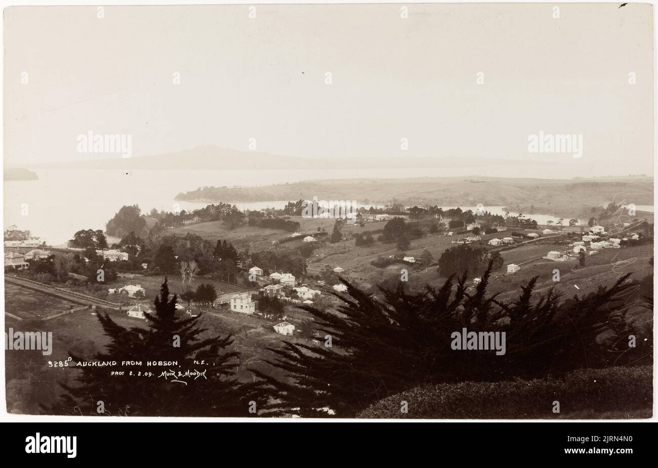 Auckland from Hobson, circa 1909, Auckland, by Muir & Moodie. Stock Photo