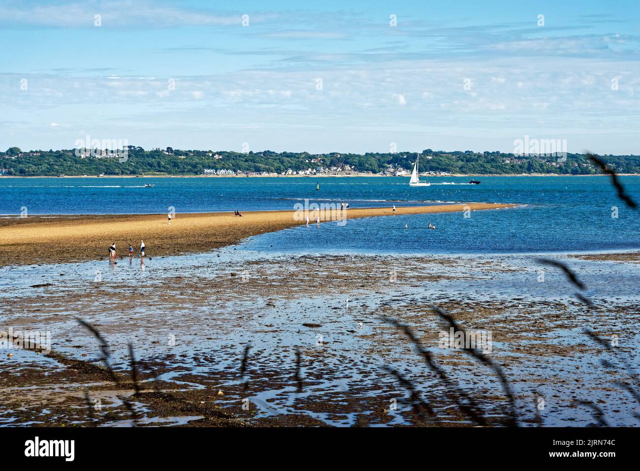 The beach at Lepe country park at low tide looking across to the Isle of Wight on a sunny summers evening, Hampshire England UK Stock Photo