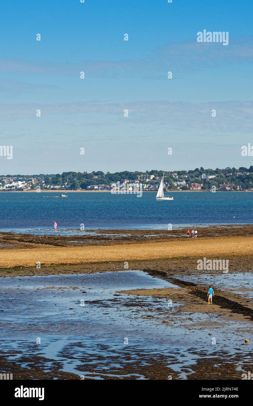 The beach at Lepe country park at low tide looking across to the Isle of Wight on a sunny summers evening, Hampshire England UK Stock Photo