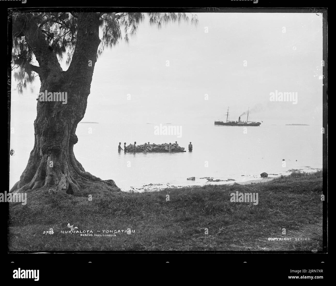 Tongatabu tongatapu hi-res stock photography and images - Alamy