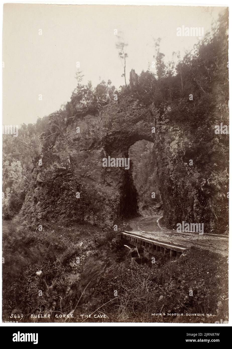 Buller Gorge - the cave, Buller, by Muir & Moodie Stock Photo - Alamy
