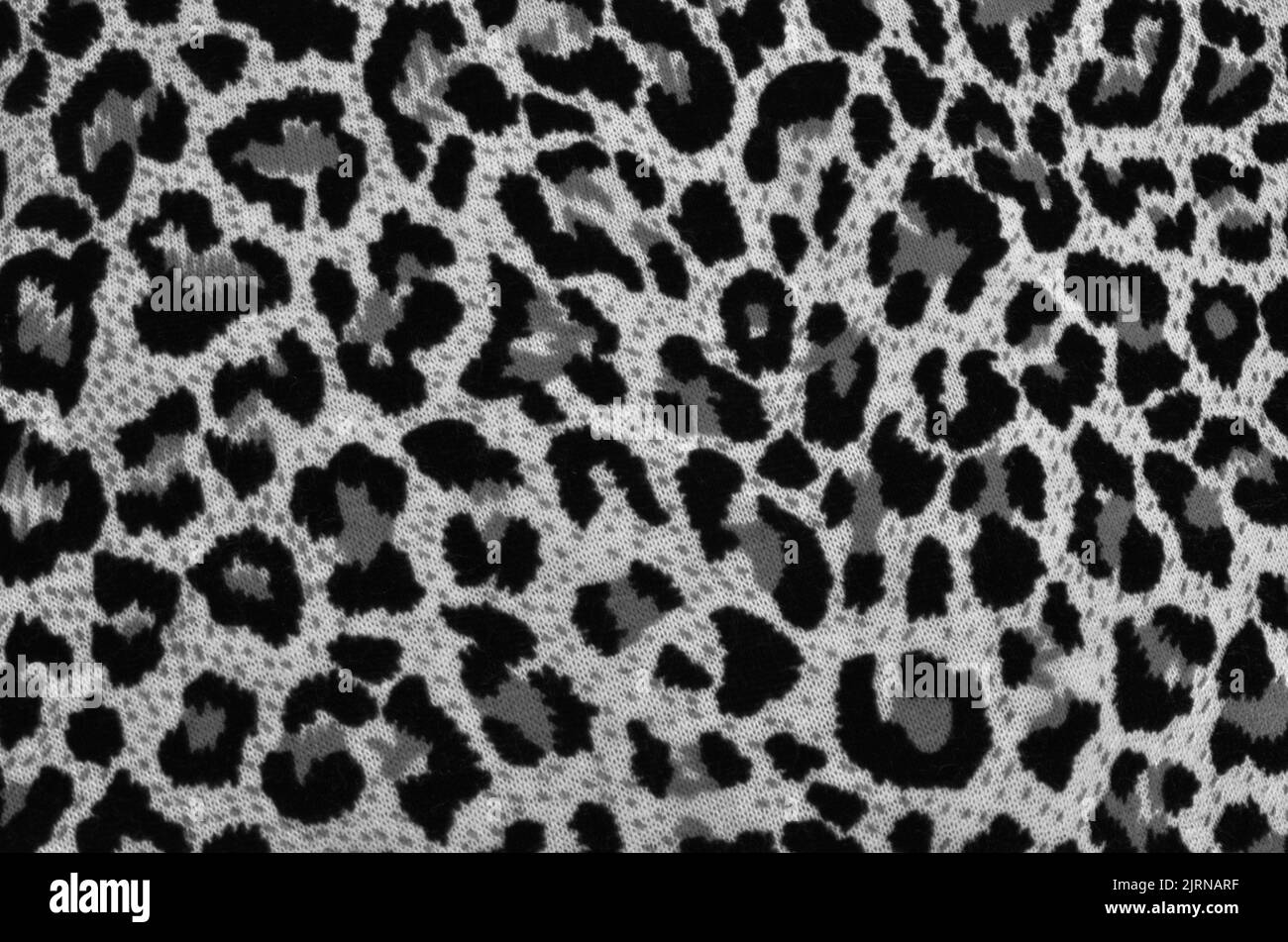black and white leopard print fabric Stock Photo Alamy