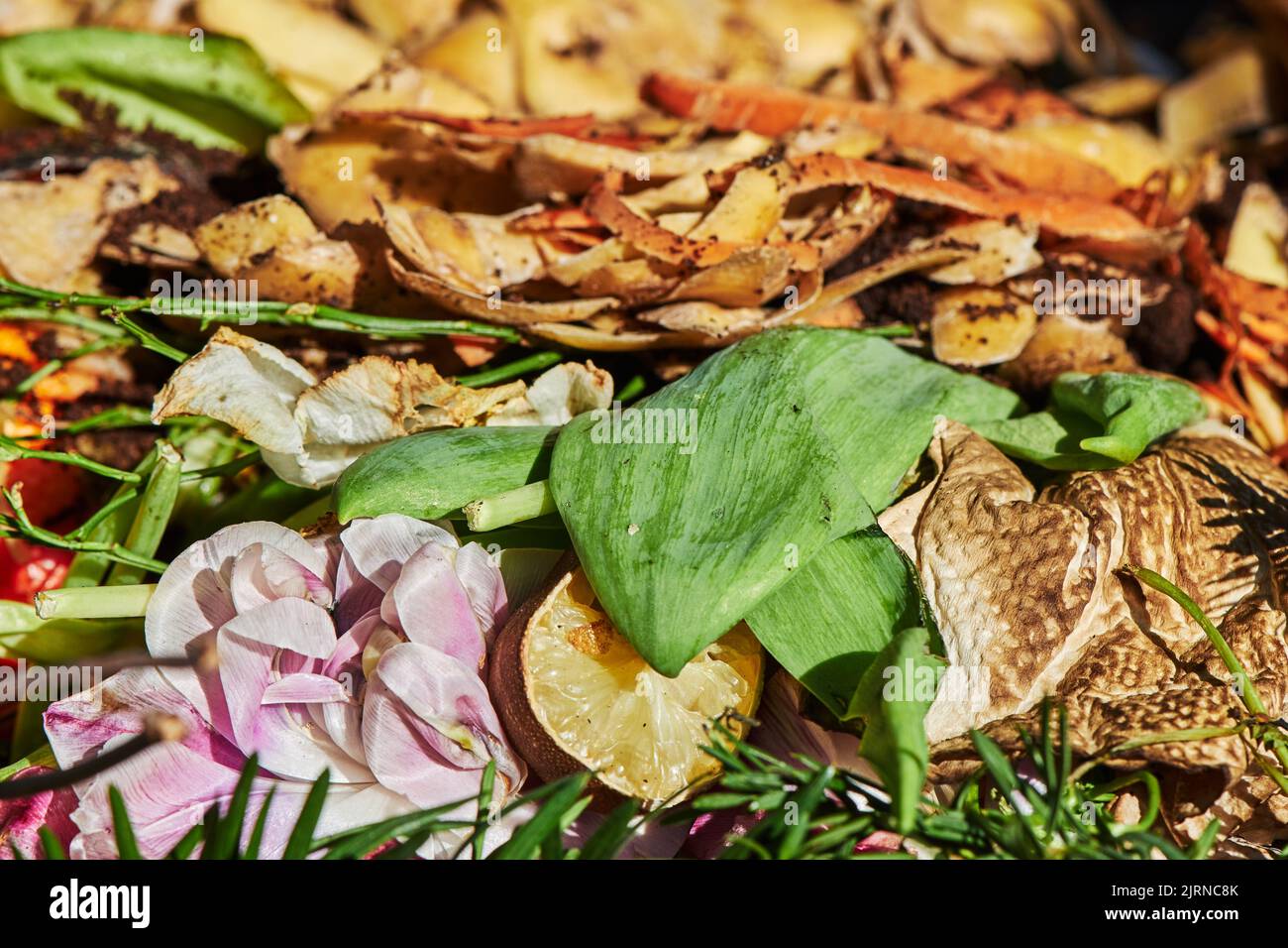 View into a bio container with various organic wastes for recycling