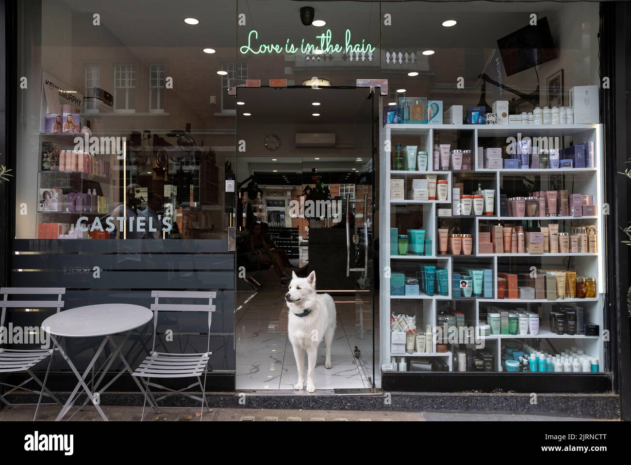 A hairdresser salon in central London with a guard dog, London, England, UK Stock Photo