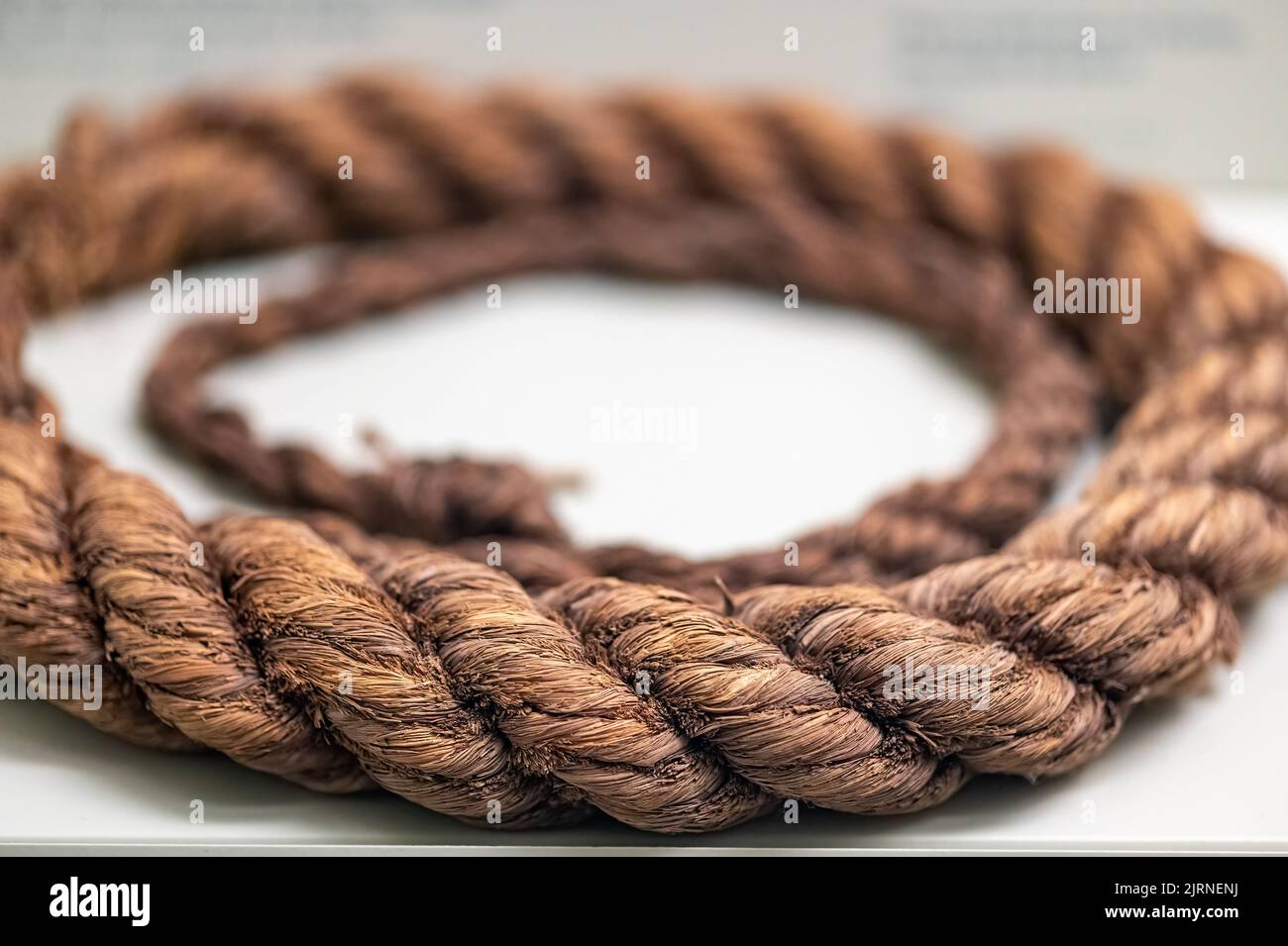 A palmfiber rope from the western Thebes. Item seen in the Royal