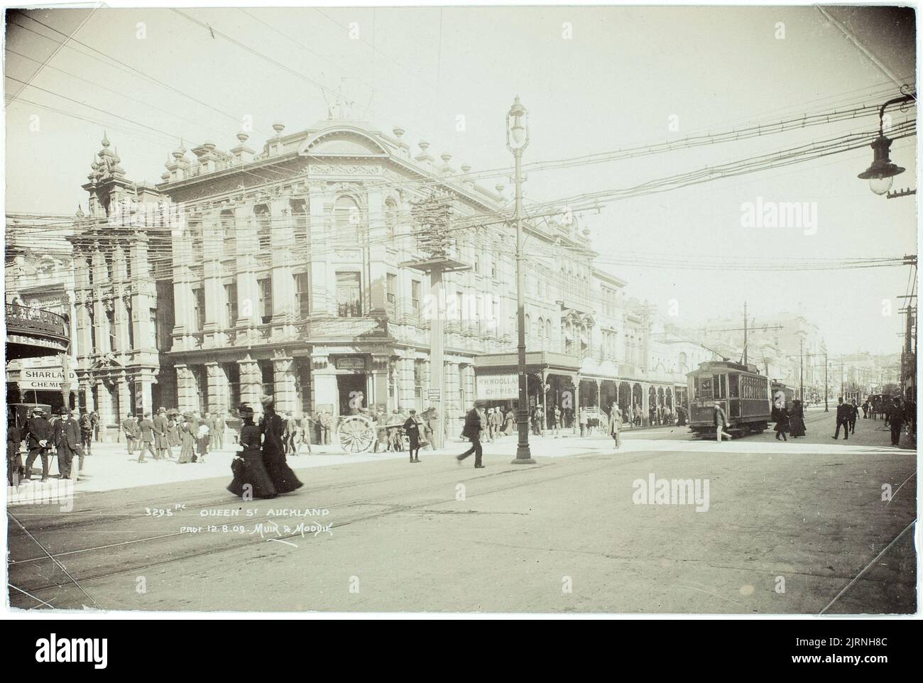 Queen Street, Auckland, circa 1909, Auckland, by Muir & Moodie Stock