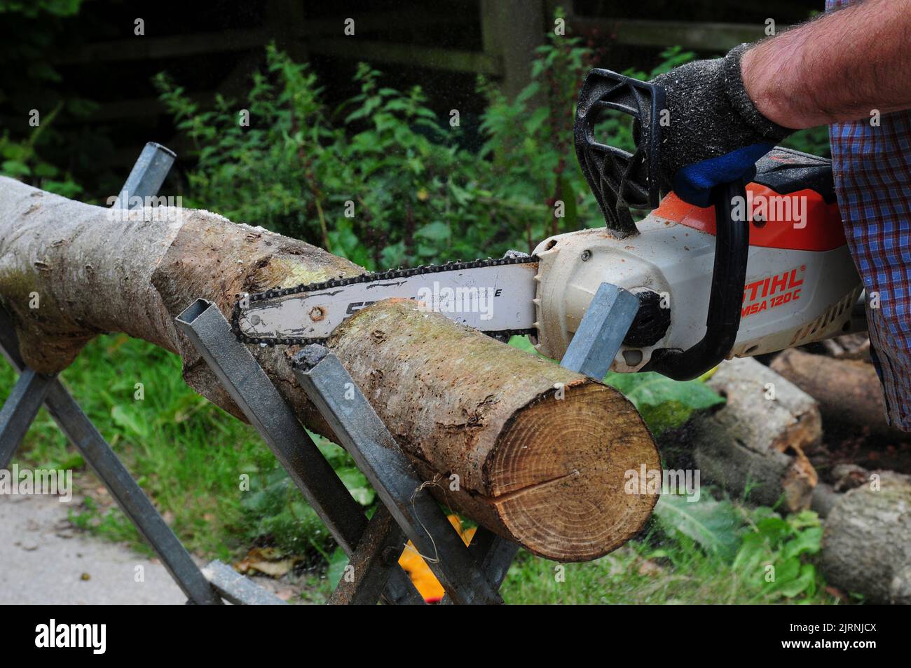 Cutting logs in readiness for winter. Stock Photo