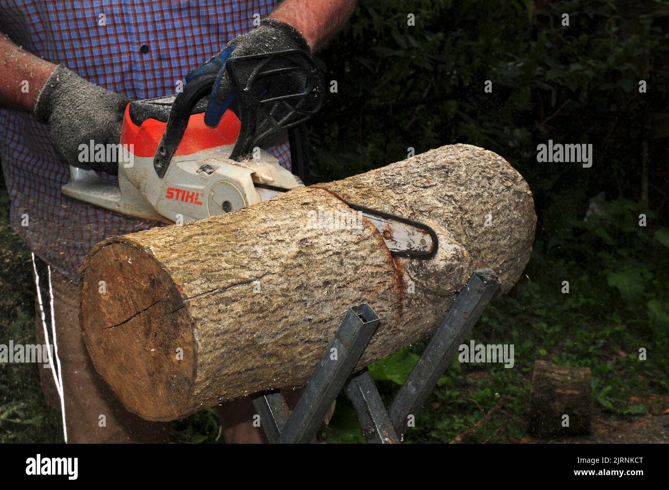 Cutting logs in readiness for winter Stock Photo Alamy