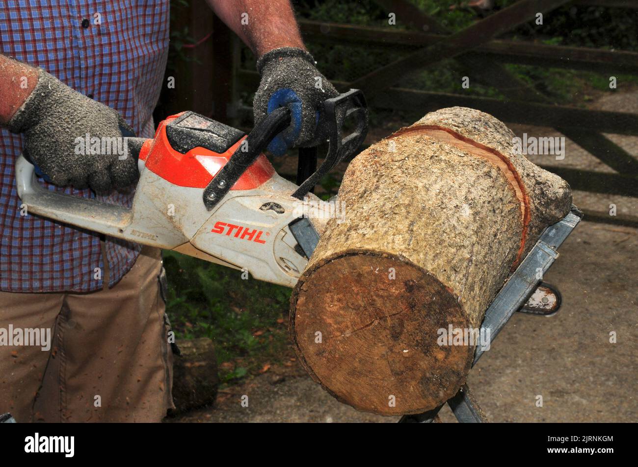 Cutting logs in readiness for winter. Stock Photo