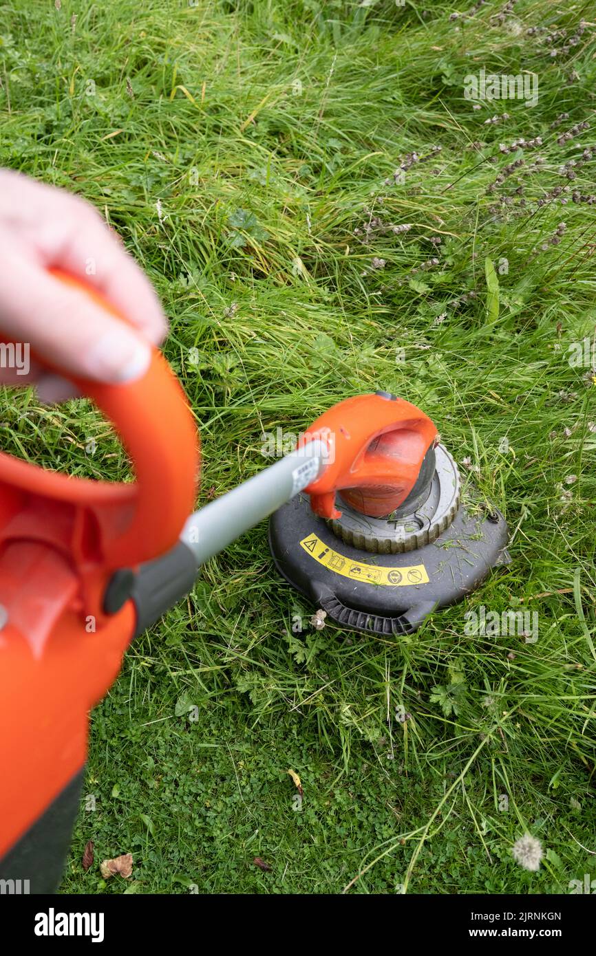 using a strimmer to cut area of lawn that has been allowed to grow long for wildlife - UK Stock Photo