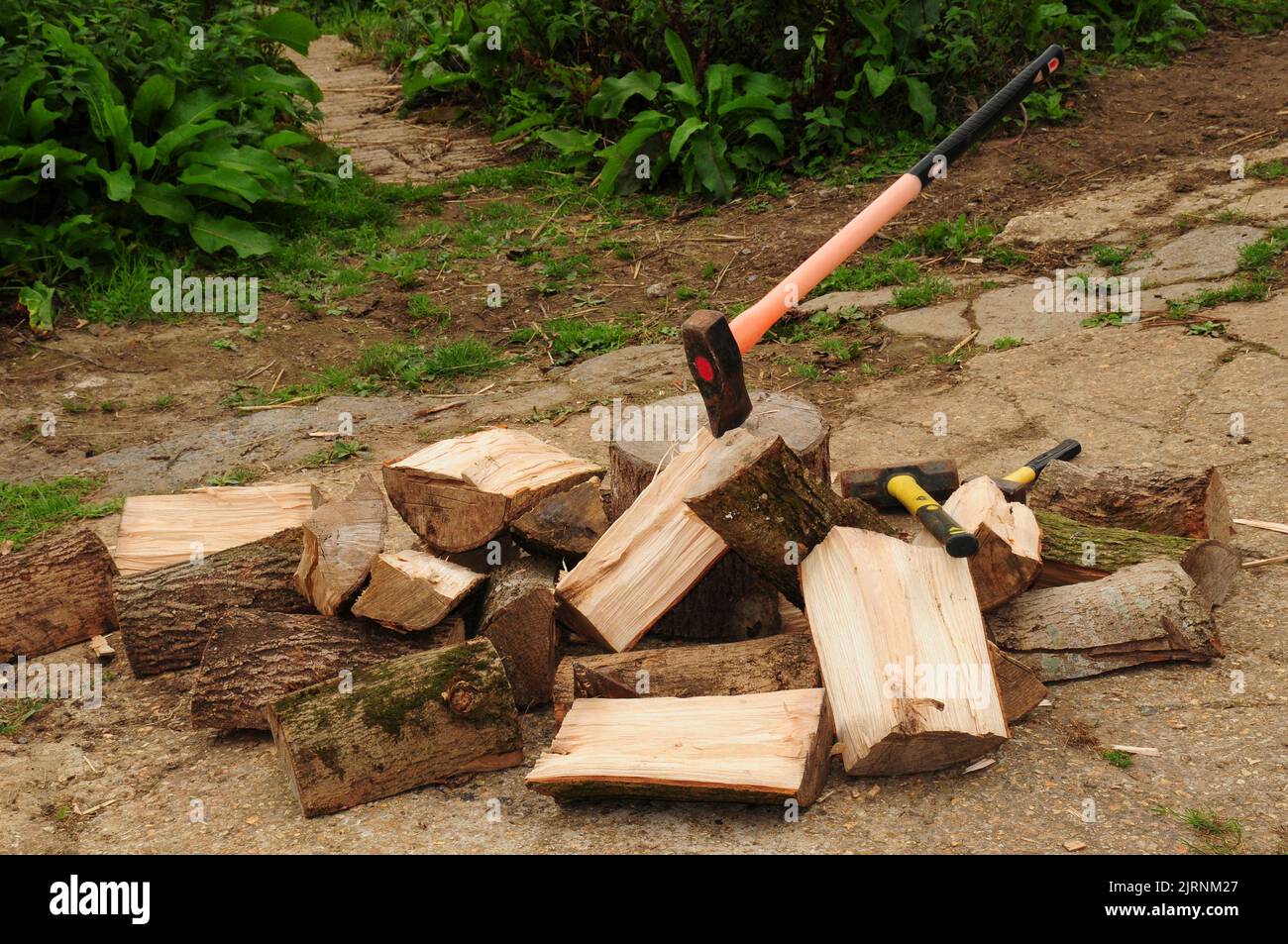 Splitting logs in readiness for winter. Stock Photo