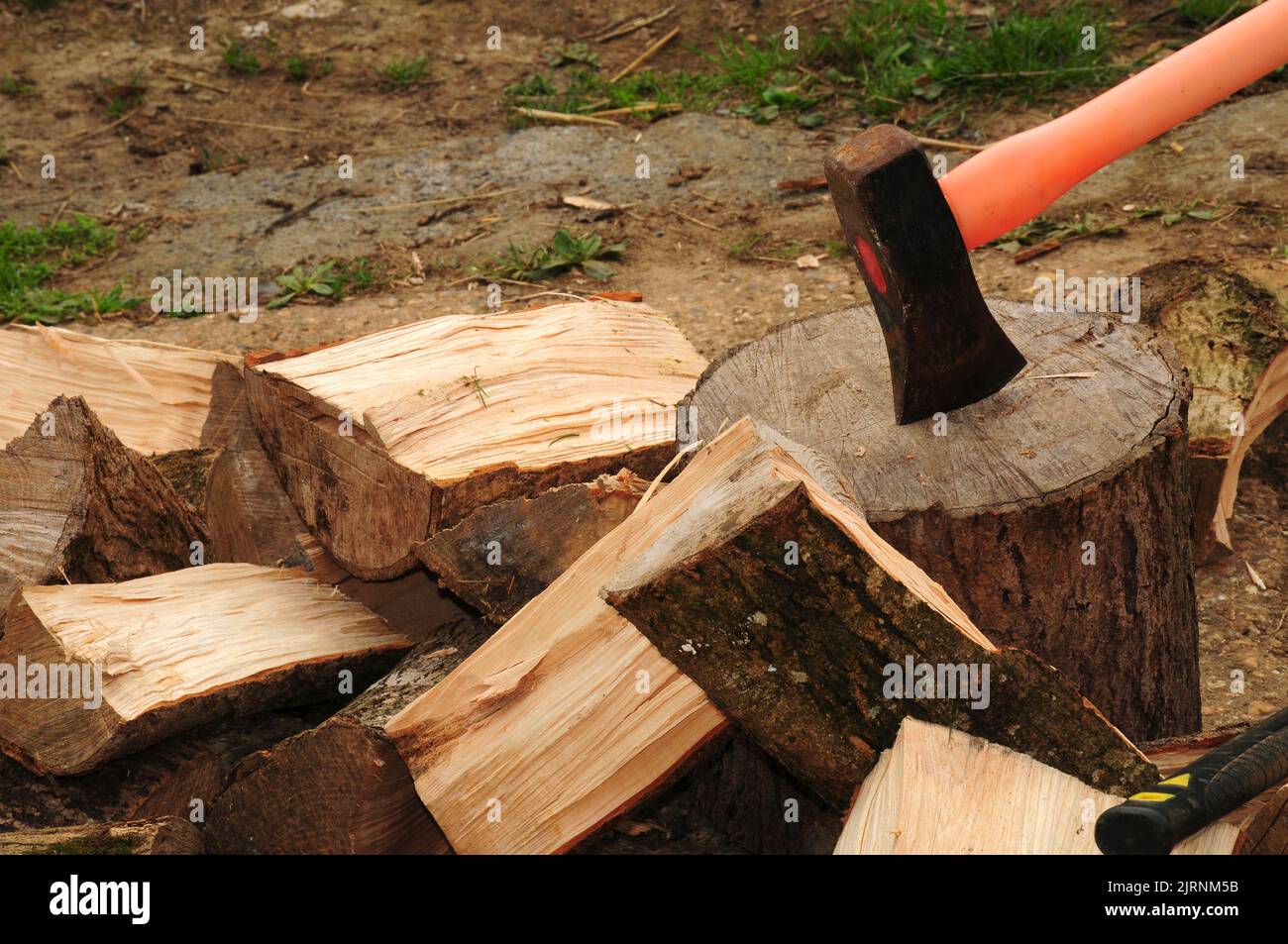 Splitting logs in readiness for winter. Stock Photo