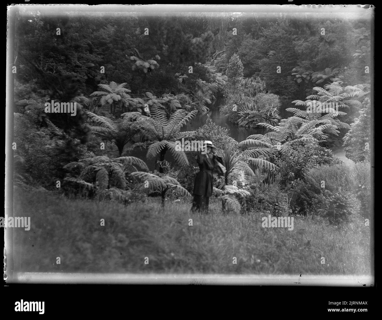 Lower lake from hillside , 18 December 1915, by Leslie Adkin. Gift of G