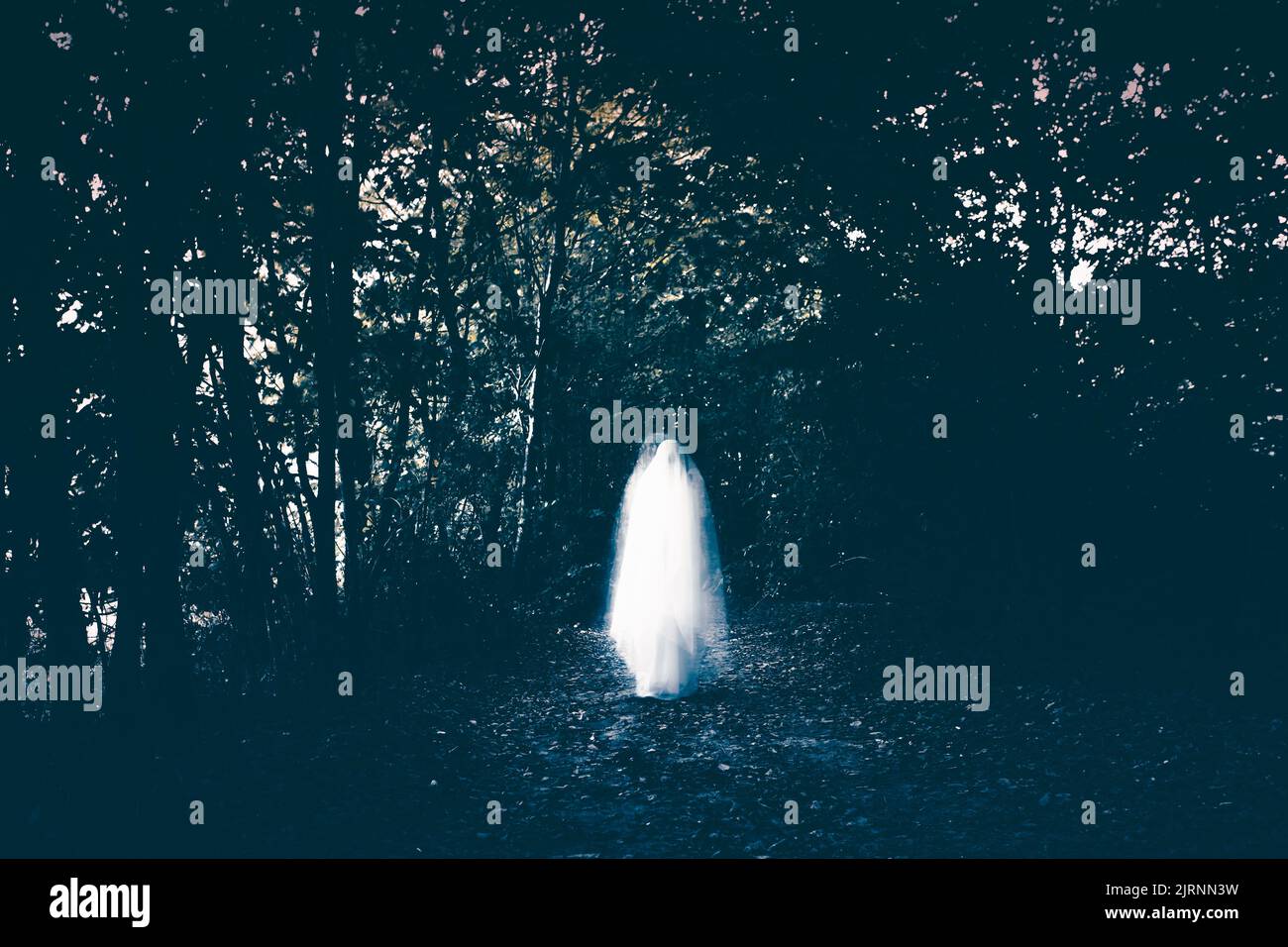 Horror background of a ghostly figure in enchanted a forest. Halloween concept Stock Photo