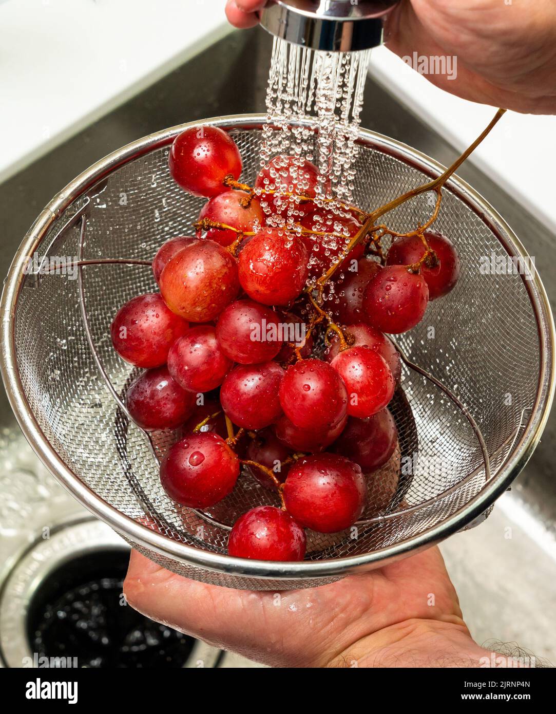 Tomato strainer hi-res stock photography and images - Alamy