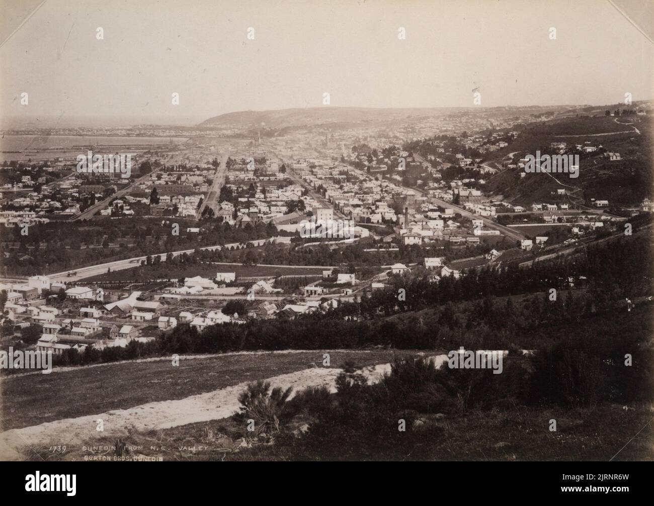 Dunedin from NorthEast Valley, by Burton Brothers Stock Photo Alamy