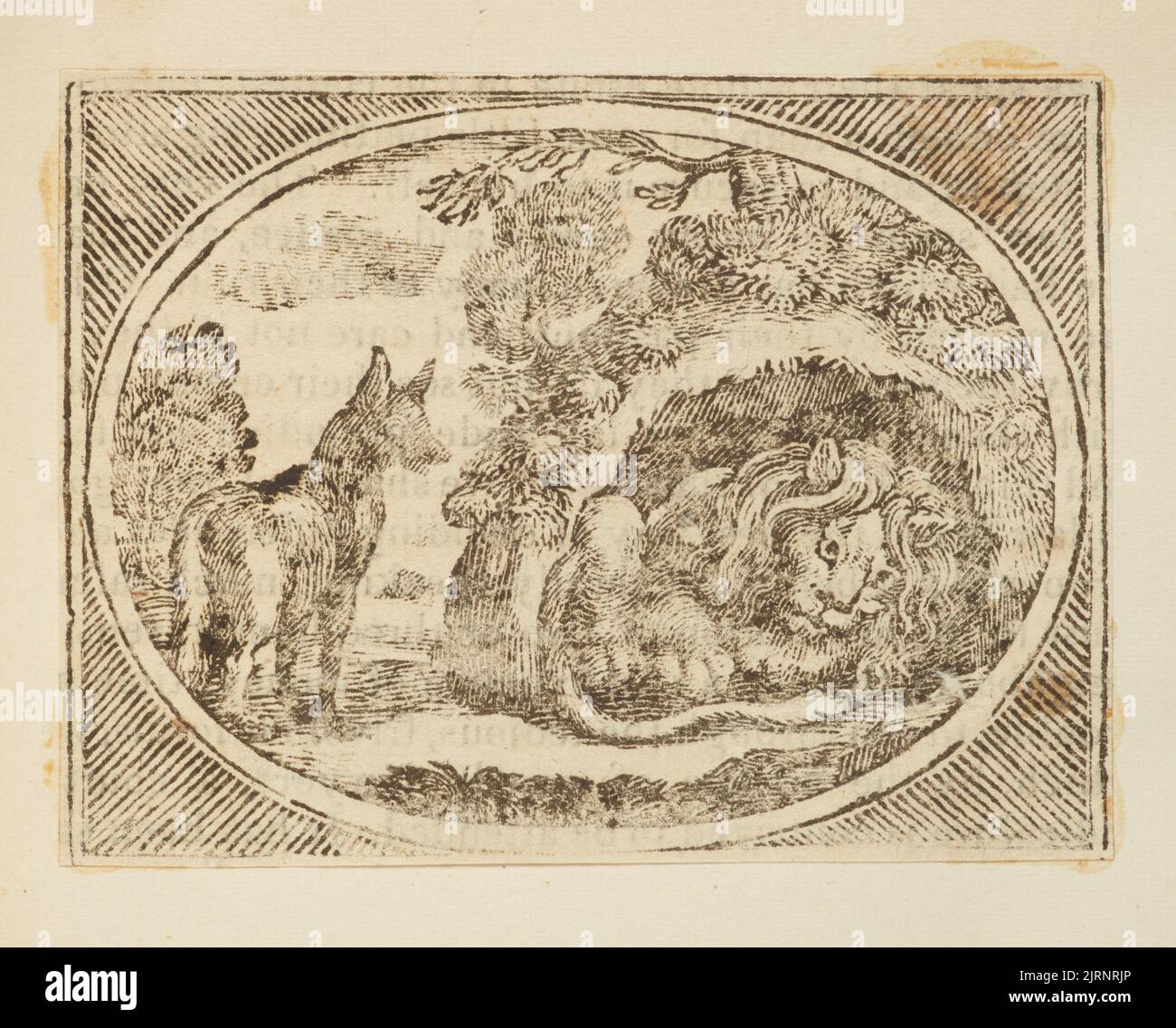 Wood engraving, England, by Thomas Bewick Stock Photo Alamy