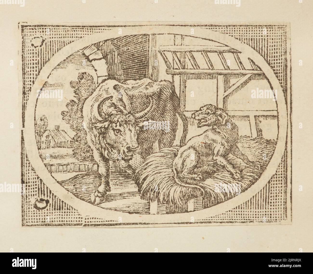 Wood engraving, England, by Thomas Bewick Stock Photo Alamy