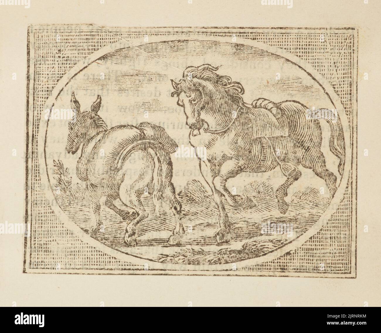 Wood engraving, England, by Thomas Bewick Stock Photo Alamy