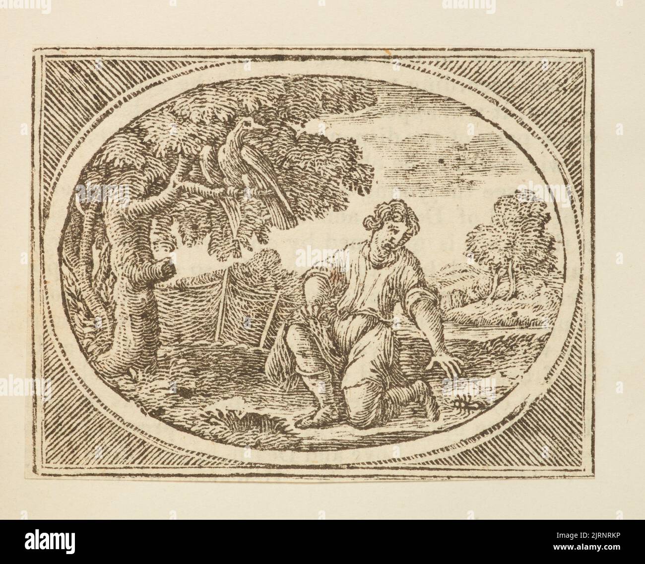 Wood engraving, England, by Thomas Bewick Stock Photo Alamy