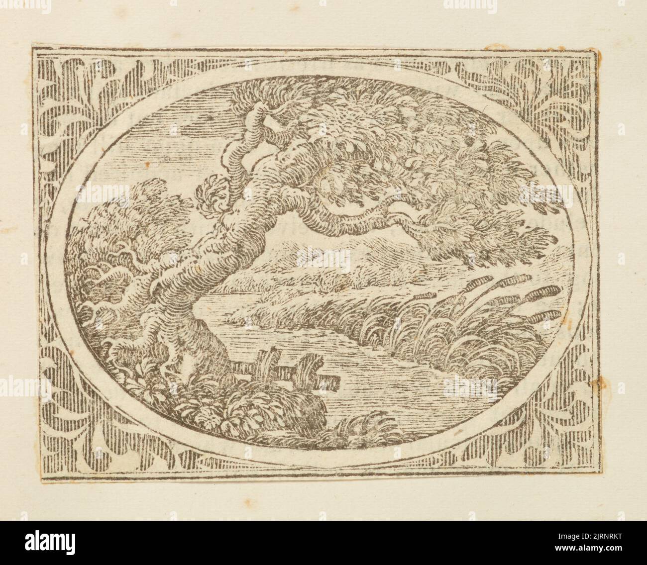 Wood engraving, England, by Thomas Bewick Stock Photo Alamy