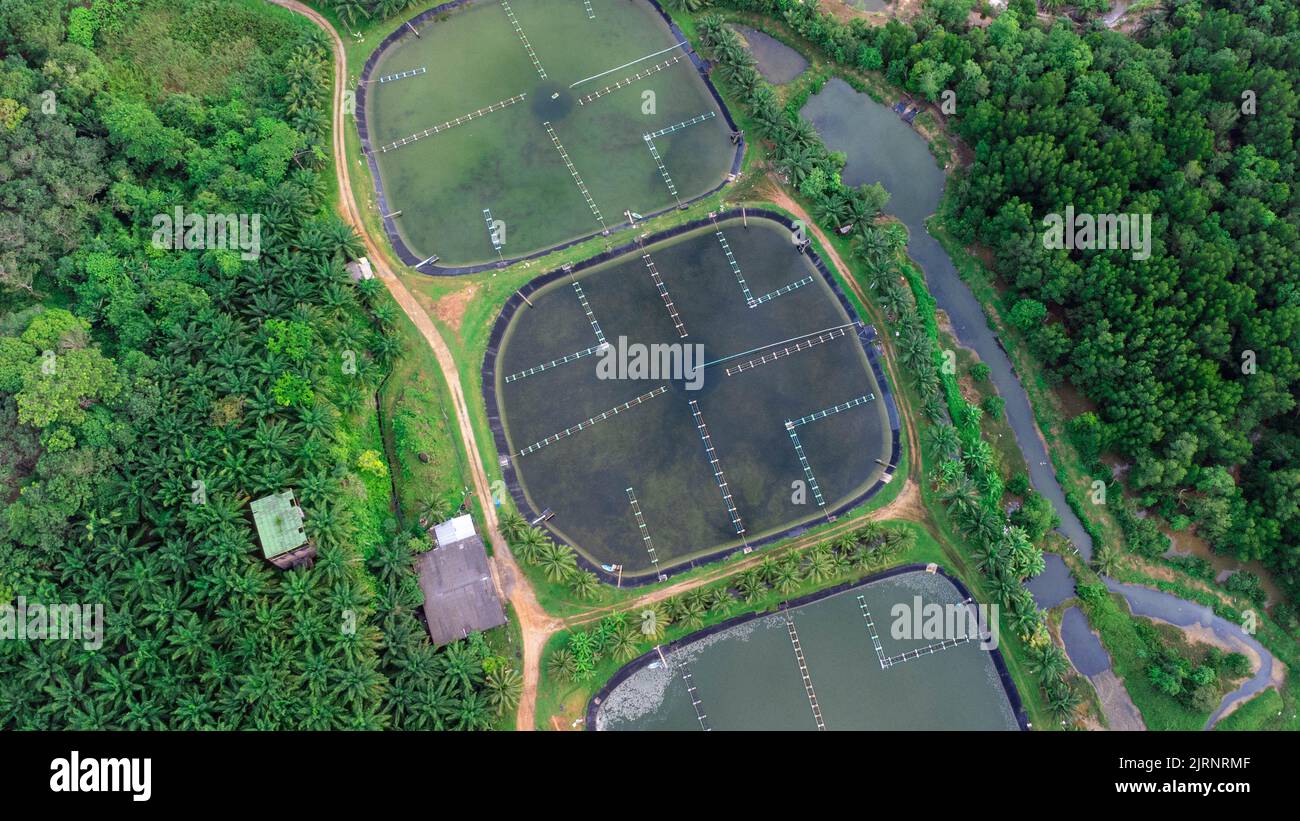 Aerial view of sewage treatment plant. Industrial wastewater treatment plant in Southern Thailand. Sewage Farm Stock Photo