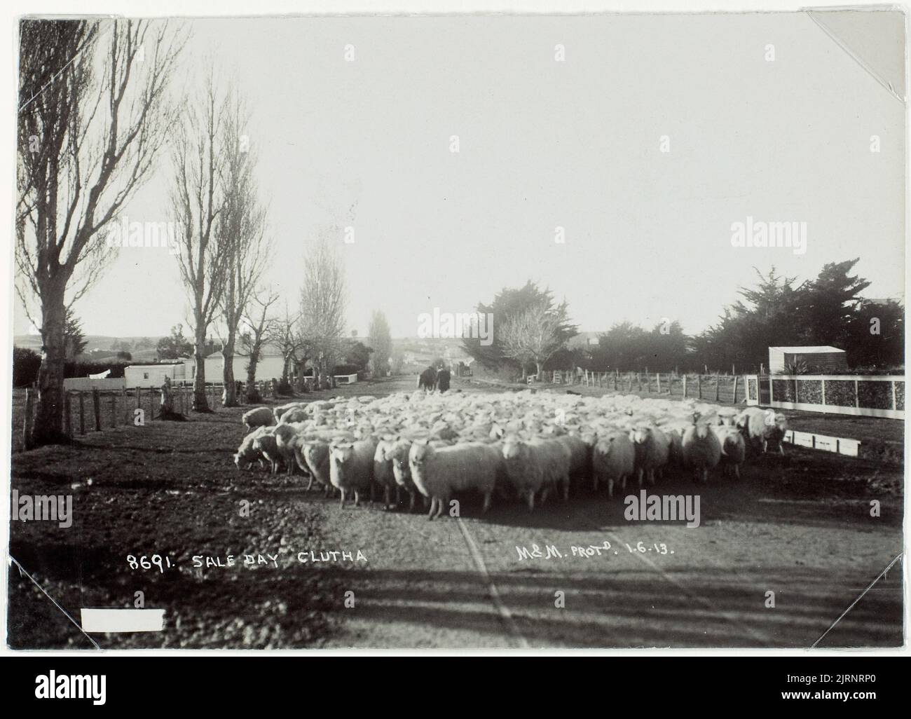 Sale Day, Balclutha, June 1913, Balclutha, by Muir & Moodie Stock Photo Alamy